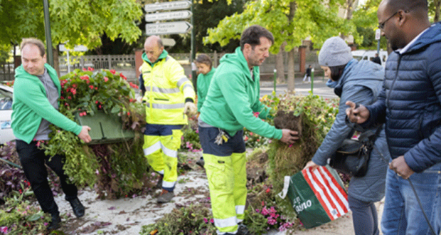 Distribution gratuite de plantes - Malakoff