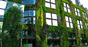 Entrée et visite gratuites des collections - Musée du Quai Branly Paris