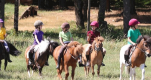 Tours de Manèges & Balades à Poney Gratuit