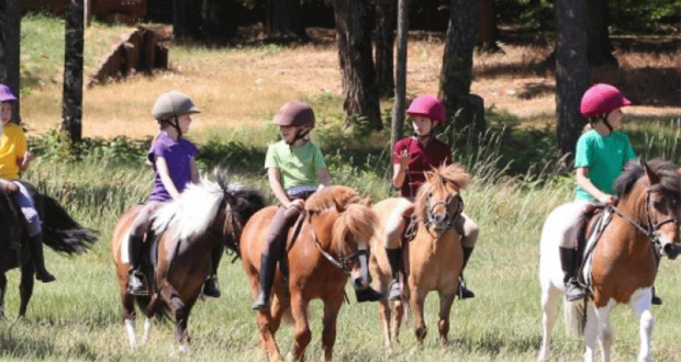 Tours de Manèges & Balades à Poney Gratuit