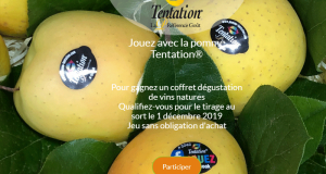 20 coffret de dégustation de vins nature offerts