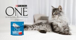 2500 packs d’alimentation pour chat Purina à tester