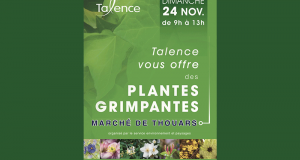 Distribution gratuite de plantes grimpantes