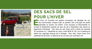 Distribution gratuite de sacs de sel de déneigement - Yerres