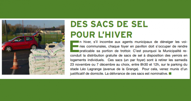 Distribution gratuite de sacs de sel de déneigement - Yerres