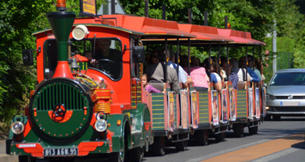 Petit Train Gratuit + Promenade gratuite en poney et en calèche