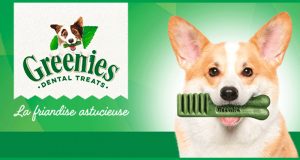 Échantillon gratuits Greenies Petite pour chien de 8 à 11kg