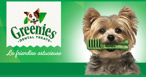 Échantillons gratuits Greenies Teenie pour chien de 2 à 7kg