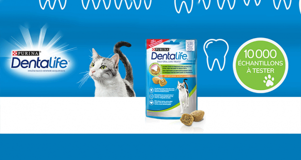 10 000 échantillons gratuits de friandises Dentalife pour chats