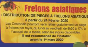 Distribution gratuite de pièges à frelons asiatiques - Cestas