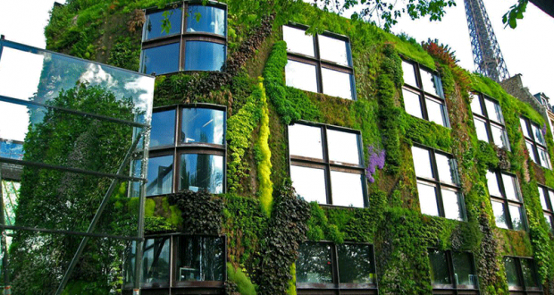 Entrées et Visites Guidées Gratuites - Musée du Quai Branly