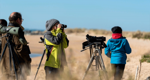 Initiation gratuite à l'ornithologie