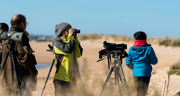 Initiation gratuite à l'ornithologie