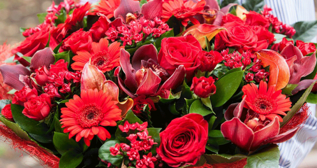 70 lots d’un an de fleurs de 480 euros offerts