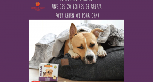 20 boites de Relax Biofood pour chien ou chat offertes