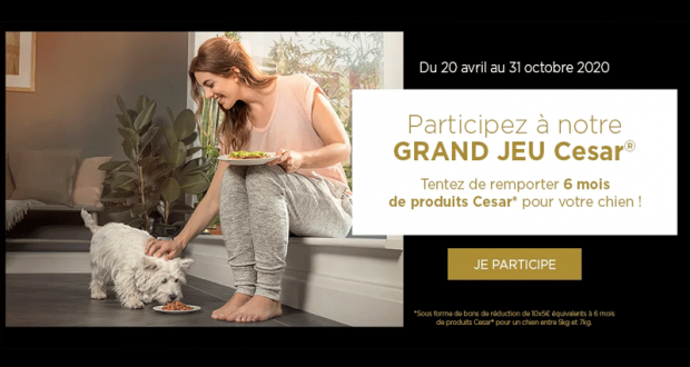 2000 lots de 50 euros d'alimentation pour chien offerts