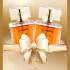 Échantillons Gratuits Parfum Gorgeous Perfume by RCW