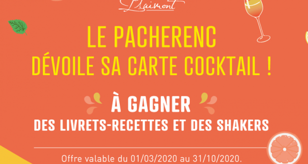 100 shaker inox 550 ml Plaimont avec 1 livret-recettes