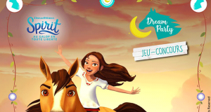 10 box Spirit Dream Party offertes