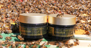 100 coffrets de crème de jour et crème de nuit Eclat Royal offerts