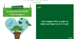 Plants de basilic offerts sur simple visite