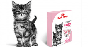 Recevez gratuitement un Coffret chaton Royal Canin