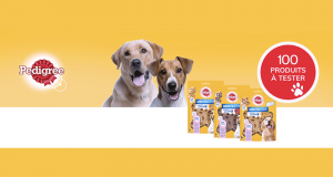 100 Sachets de Bouchées pour Chiens Dentastix Chewy Chunx à tester