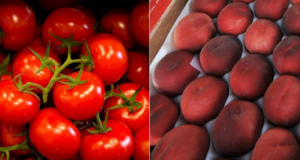 1Kg de Pêches & 1Kg de Tomates Offerts sur simple demande