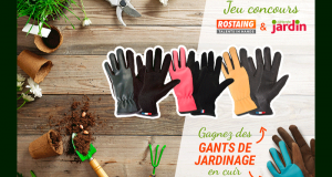 40 paires de gants de jardinage en cuir offertes