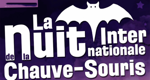 Activités gratuites pour la Nuit Internationale de la Chauve-Souris