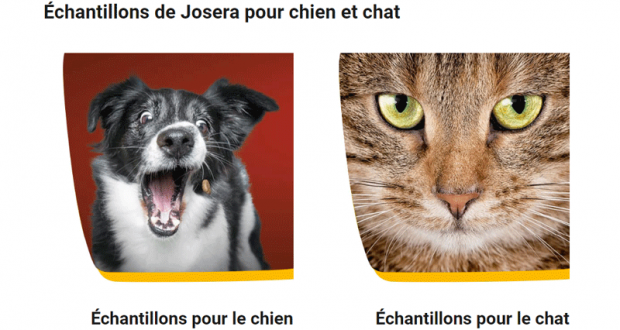 Échantillons gratuits de Josera pour chien et chat