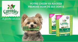 4500 paquets de bâtonnets pour chiens Greenies à tester