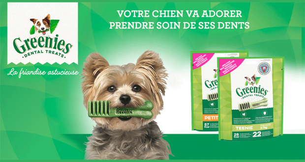 4500 paquets de bâtonnets pour chiens Greenies à tester