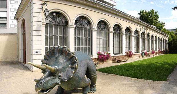 Entrée Gratuite au Muséum & au Musée de Grenoble