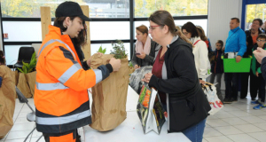 Distribution gratuite de plantations