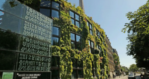 Entrée gratuite au Musée du Quai Branly Jacques Chirac