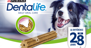 Échantillons gratuits de Purina DentaLife pour chien