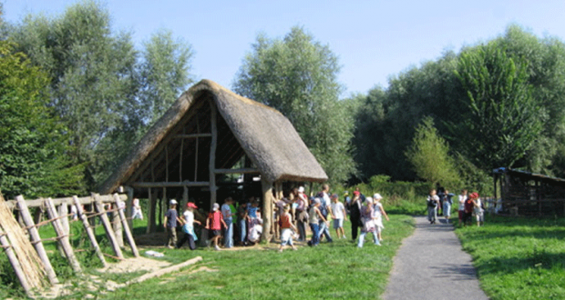 Animations gratuites au Parc Archéologique Asnapio - Lille