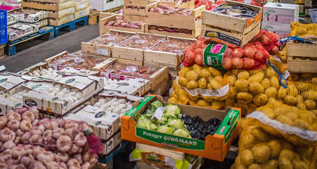 Distribution Gratuite de Légumes de Saison