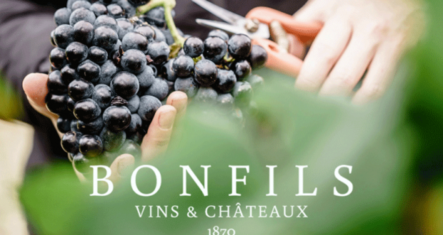 10 lots de 6 bouteilles de vin offerts