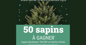 50 sapins Nordmann offerts