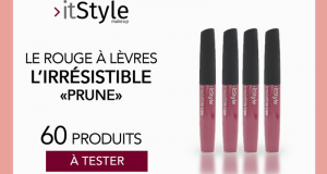 60 rouges à lèvres l’irrésistible prune de itstyle makeup à tester