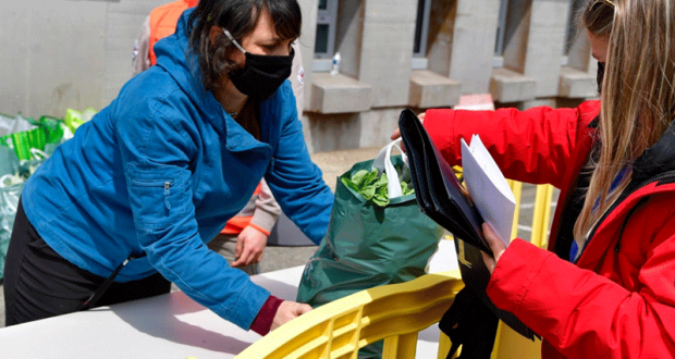 Distribution Gratuite de fruits et légumes