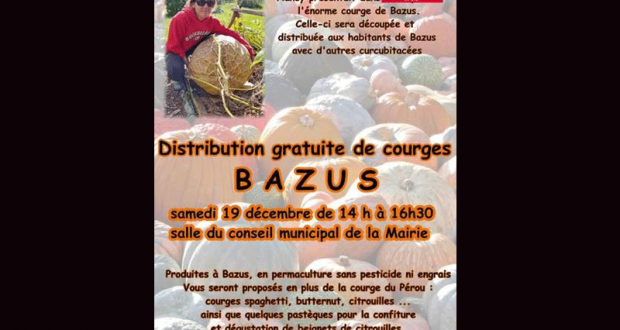 Distribution Gratuite de diverses Courges