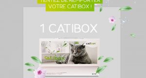 417 couverture de transport pour chat offertes