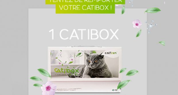 417 couverture de transport pour chat offertes