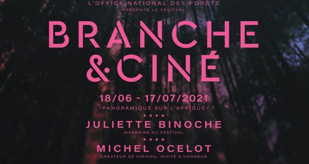 Cinéma en plein air et en salles gratuit