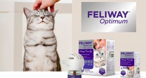 200 Diffuseur de bien-être pour les chats FELIWAY Optimum à tester