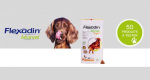 50 Flexadin Advanced Original pour chiens à tester