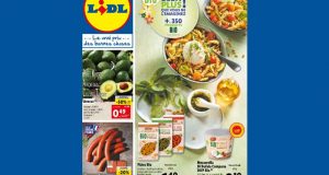 Catalogue Lidl du 25 août au 31 août 2021